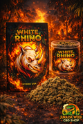 White Rhino
